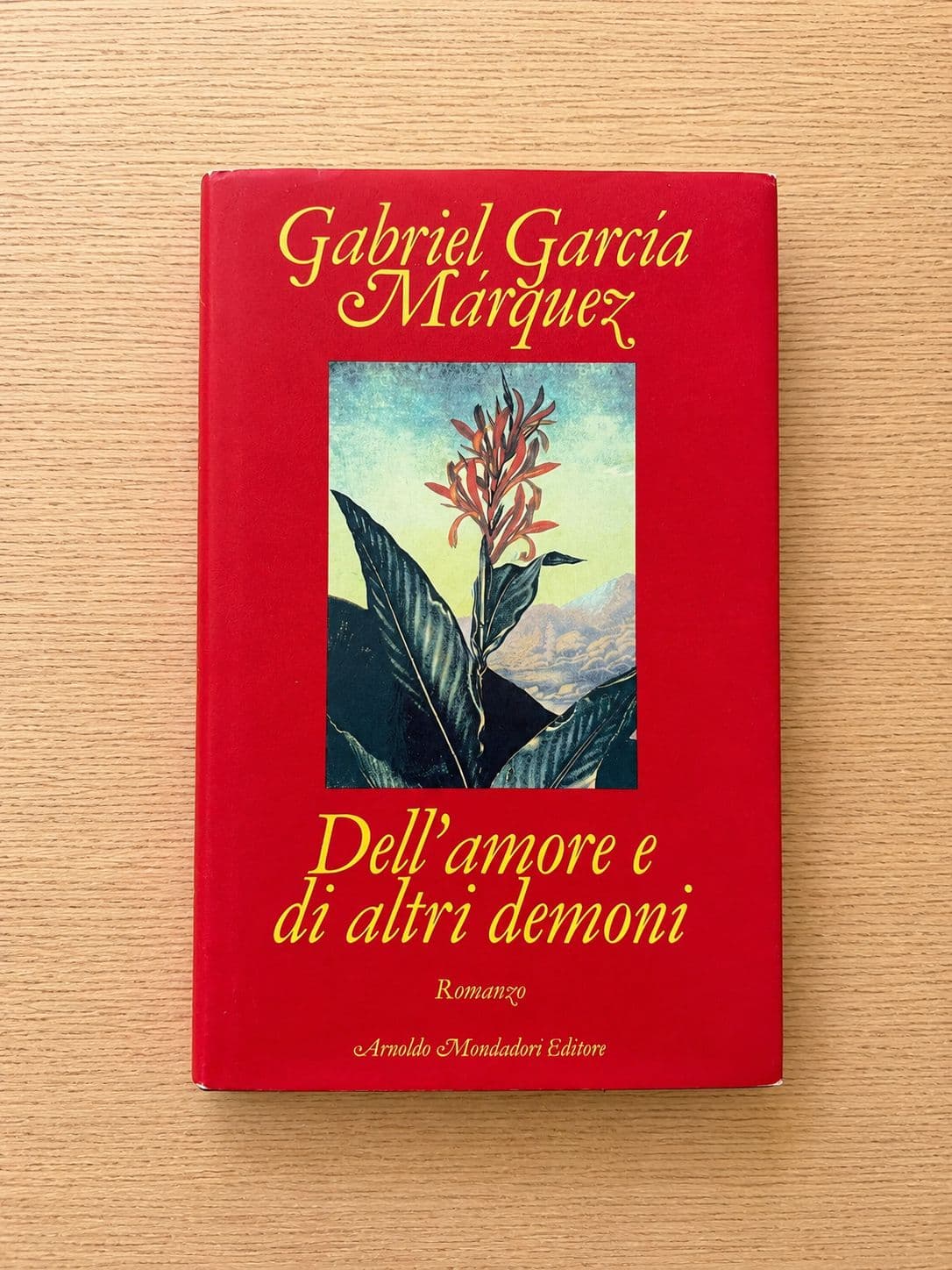 Dell'amore e altri demoni