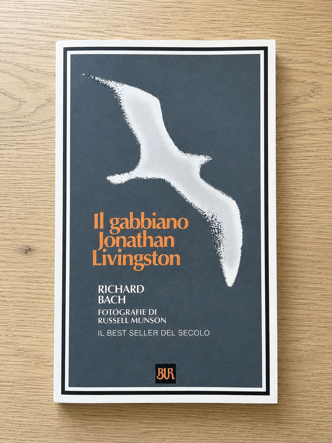 Il gabbiano Jonathan Livingstone